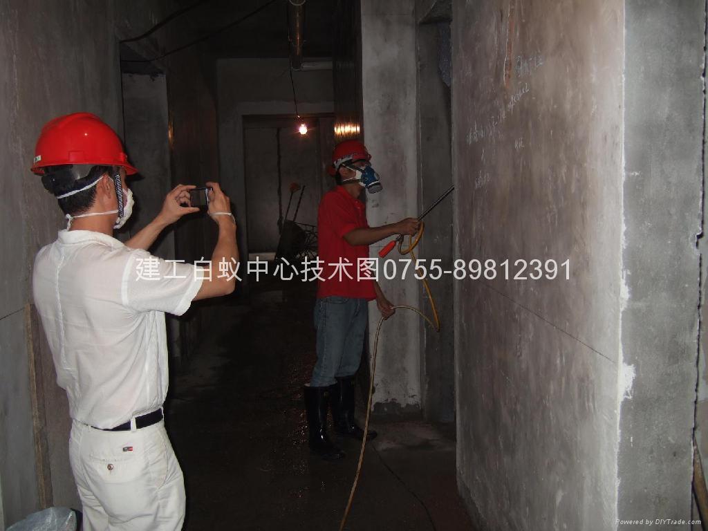 防治白蚁